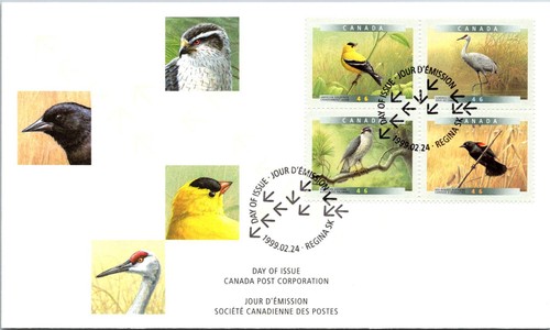 Canada birds giorno - birds, di
